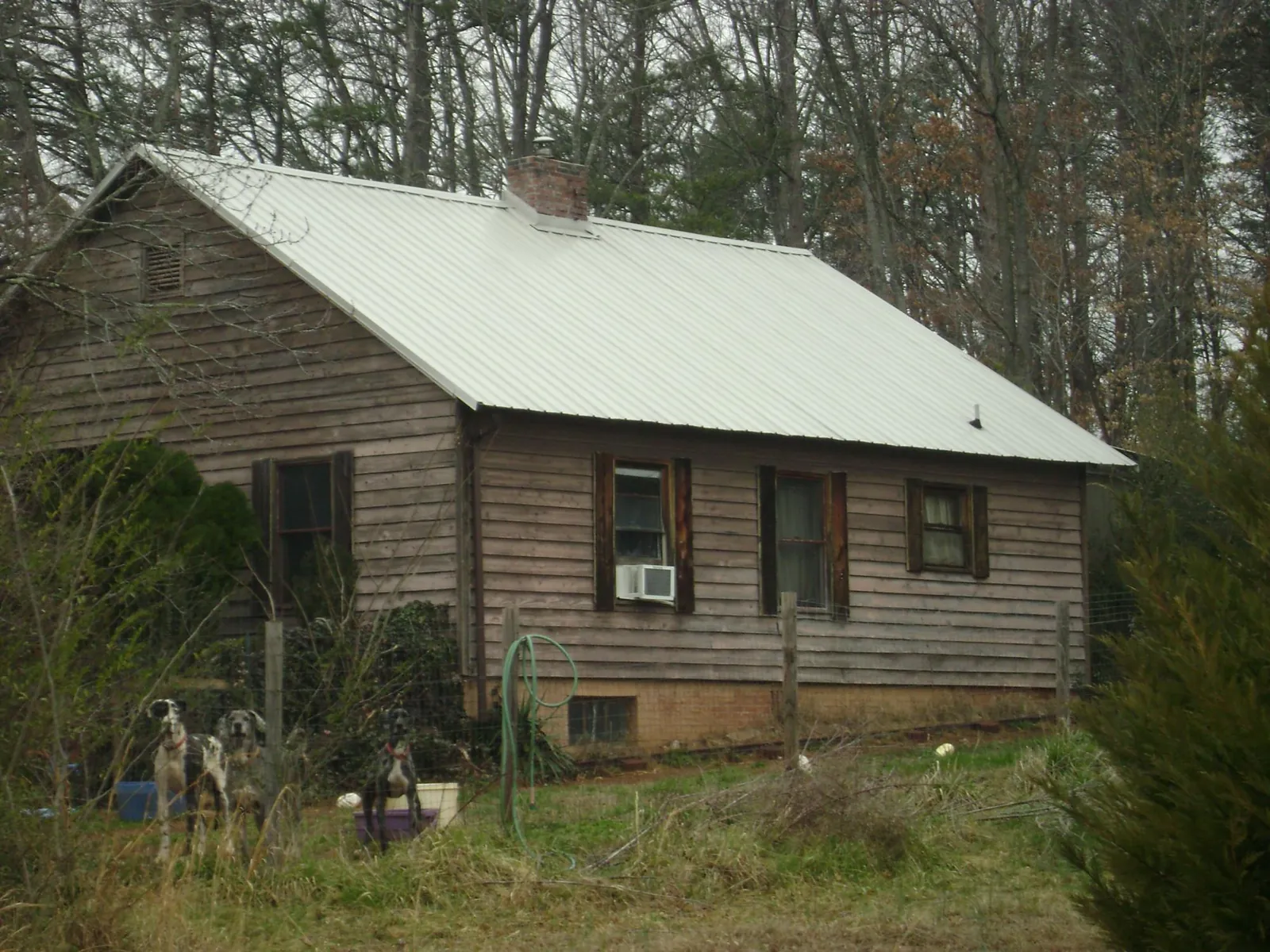 White metal roof on an old wood sided farmhouse, from a Asphalt Shingle Roof Repair job in Muenster